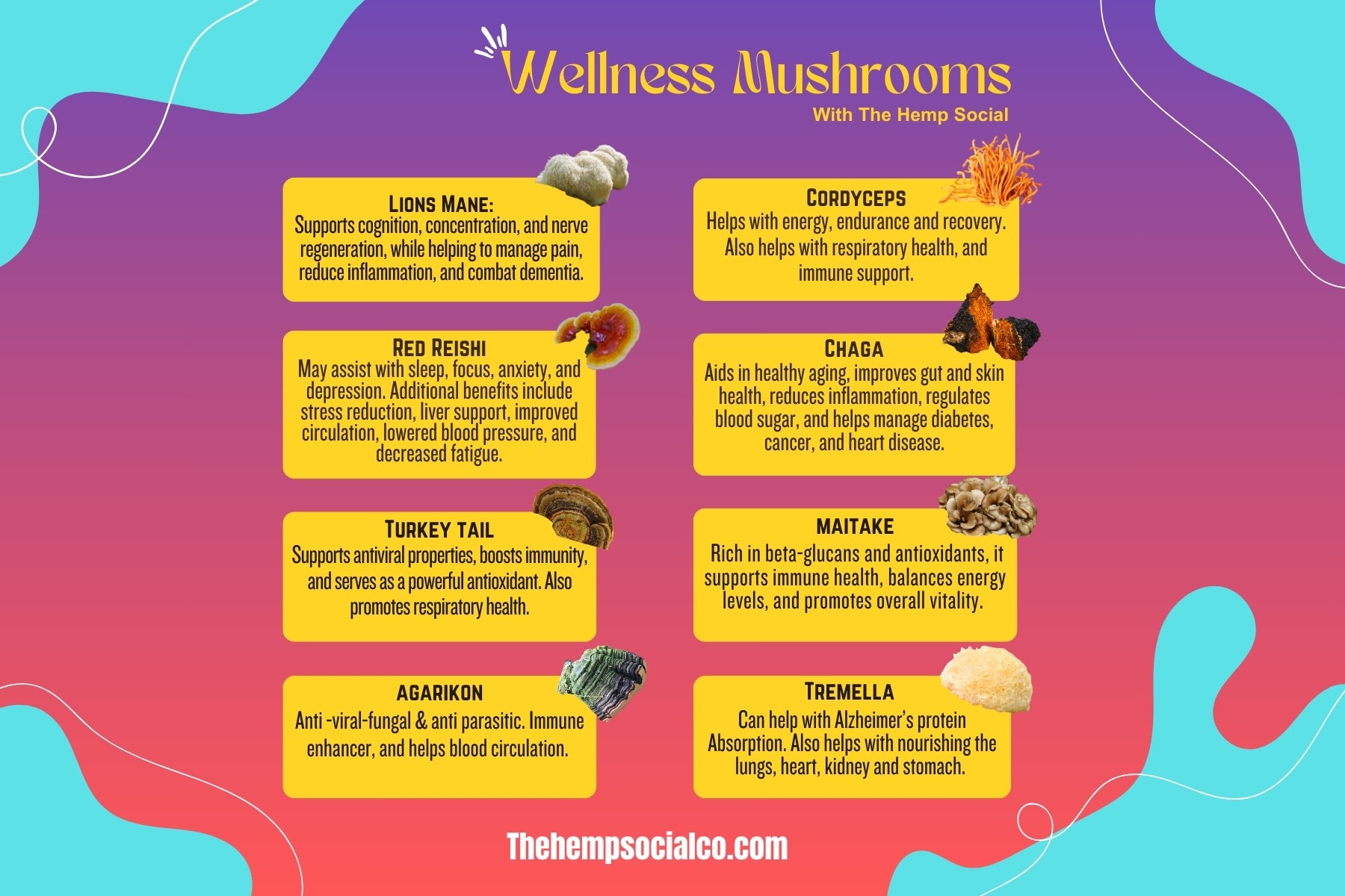 Chaga Mushroom Tincture